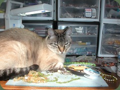 PICT0372