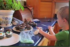 cupcakes2