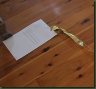 ribbon2
